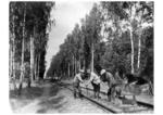 Wiederherstellung des Streckenabschnitts Lissa - Bentschen im Warthegau. (1941) <i>Foto: RVM (Berkowski)</i>