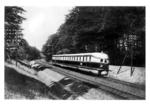 Der "Fliegende Hamburger" im Sachsenwald bei Friedrichsruh. (09.06.1933) <i>Foto: RVM (Hollnagel)</i>