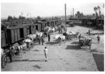 Kartoffelverladung auf einem unbekannten Bahnhof in der RBD Erfurt. (1942) <i>Foto: RVM</i>