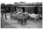 Kartoffelversand in der RBD Erfurt. (1942) <i>Foto: RVM (RBD Erfurt)</i>