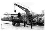Verladen von Pflanzbäumen in der RBD Hamburg. (1932) <i>Foto: RVM (Hollnagel)</i>