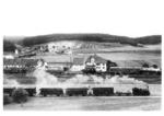 WEG Nr. 2 der Württembergischen Eisenbahngesellschaft verlässt mit P 14 den Bahnhof Amstetten. Dahinter ein Güterzug auf der DB Strecke Stuttgart - Ulm, sowie ein ausfahrender Personenzug nach Gerstetten.  (10.08.1952) <i>Foto: Carl Bellingrodt</i>