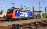 Für den Verkehr Schweiz–Deutschland beschaffte die SBB Cargo 50 Zweisystem-Güterzuglokomotiven der Reihe Re 482. 482 023 verlässt den Rangierbahnhof von Gremberg, um in Köln-Eifeltor einen Containerzug zu übernehmen. (28.09.2011) <i>Foto: Wolfgang Bügel</i>
