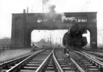 03 091 vom Bw Rheine wartet unter dem markanten  Reiterstellwerk "Hpn" im Bahnhof Hamm/Westf. (17.04.1964) <i>Foto: Willi Marotz</i>