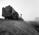 50 587 mit einem Nahgüterzug bei Lünen an der Hamm - Osterfelder Strecke.  (1951) <i>Foto: Willi Marotz</i>