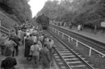 50 618 mit einem Sonderzug anlässlich des Kirchentages in Köln am Behelfsbahnsteig bei Köln-Ehrenfeld. (1957) <i>Foto: Fischer</i>