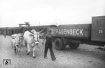 Ankunft des Zirkus Carl Hagenbeck in Heidelberg. (13.09.1951) <i>Foto: Walter Hollnagel</i>