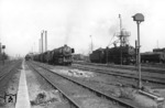 Blick in das Bw Hamm. Links steht in einer Reihe mit anderen Lokomotiven 44 400, während rechts 44 442 ihre Sandvorräte ergänzt. (1965) <i>Foto: Willi Marotz</i>