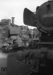 50 3119 und 38 3995 im Bw Neumünster. (06.10.1959) <i>Foto: Walter Hollnagel</i>