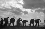Stimmungsvolle Aufnahme von Rottenarbeiten bei Bevensen (Strecke Lüneburg - Uelzen). (1952) <i>Foto: Walter Hollnagel</i>