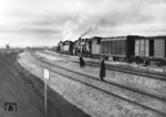 Eine 52 mit frostgeschützem Kastentender leistet einer 52-Kondenstenderlok Vorspann bei Trichaty in der Südukraine. (1943) <i>Foto: RVM / Hollnagel</i>