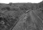 TEE 20 "Saphir" hat soeben das deutsch-belgische Grenzgebiet hinter sich gelassen und wird gleich im Buschtunnel in Richtung Aachen entschwinden. (23.06.1962) <i>Foto: Walter Hollnagel</i>