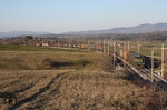SZ 664-105 mit einem Zug zum Hafen nach Koper bei Gradec. (11.03.2014) <i>Foto: Stefan Jurasovits   </i>