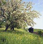 023 083-9 (23 083) vor E 4643 bei Schwäbisch Hall. (15.05.1969) <i>Foto: Wolfgang Bügel</i>