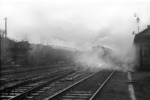 Bereitstellung von Reisezügen mit Rangierloks der Baureihen 92 und 74 im Bahnhof Hamburg-Langenfelde. (22.11.1954) <i>Foto: Walter Hollnagel</i>