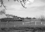 99 7204 mit einem Personenzug auf der 1000mm Schmalspurbahn Mosbach - Mudau nahe Mudau. (15.04.1964) <i>Foto: Slg. Eisenbahnstiftung</i>