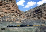 Lok No. 844 und 3985 "Challenger" der Union Pacific Railroad mit einem Sonderzug im Weber River Canyon in Utah/USA. (16.04.1991) <i>Foto: Joachim Bügel</i>