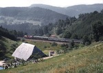 Harmonie zwischen Eisenbahn und Landschaft: Eine Villinger V 200 (220) zieht ihren Eilzug zwischen Hohnen- und Grundwaldtunnel unterhalb Nussbach bergwärts. (1972) <i>Foto: Heinz Hangarter</i>