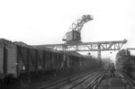 Entladen der Kohlenvorräte im Bw Oberhausen-Osterfeld Süd, rechts nimmt 50 232 Wasser. (02.1959) <i>Foto: Slg.Eisenbahnstiftung</i>