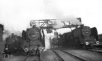 An den Lokbehandlungsanlagen des Bw Hamburg-Altona schleicht sich neben den wartenden 03 037 und 03 109 die pr. T 11 - 74 249 - vorbei. (02.1941) <i>Foto: Walter Hollnagel</i>