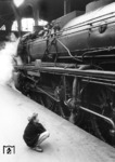 Szene vor der Mischvorwärmer 01 154 im Bahnhof Hamburg-Altona. (08.08.1952) <i>Foto: Walter Hollnagel</i>