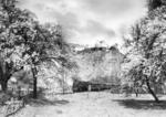 Frühling und Baumblüte mit 93 607 bei Dresden Plauescher Grund. (1935) <i>Foto: RVM</i>