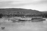 Raddampfer "Vaterland" auf dem Rhein in der Nähe der Bopparder Hamm mit Blick auf Kestert und Osterspay. (1938) <i>Foto: RVM</i>