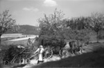 Zum Entspannen eine etwas andere 2 PS-Doppeltraktion im Bergischen Land. (05.1932) <i>Foto: Slg. Eisenbahnstiftung</i>