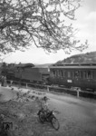 Baumblüte bei Urft in der Eifel mit einem stilreinen preußischen Personenzug, geführt von einer pr. G.1 (BR 56.2). (05.1952) <i>Foto: Slg. Eisenbahnstiftung</i>