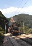 050 682-4 (50 682) mit einem Durchgangsgüterzug vor der Kulisse der Burg Zwingenberg am Neckar. (04.07.1972) <i>Foto: Peter Schiffer</i>