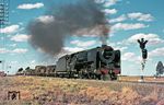 SAR 16E (4-6-2) No. 858 mit einem Schnellgüterzug bei Rietwater, südlich Bloemfontein. Die 1935 bei Henschel&Sohn gebaute Lokreihe 16E war die schnellste je gebaute Schmalspur-Dampflokomotive und erreichte bei Probefahrten fast 150 km/h. (08.02.1969) <i>Foto: B. Roberts</i>