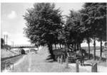 38 3789 überholt mit einem Sonderzug ein Pferdefuhrwerk bei Teterow.  (1933) <i>Foto: RVM</i>