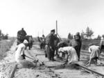 Russische "Freiwillige" beim Umspuren von Gleisanlagen. Auffällig ist der Einsatz von Frauen für die körperliche Schwerstarbeit. Im Hintergrund ist Lok 56 769 im Arbeistzugeinsatz tätig. (1942) <i>Foto: RVM / Bandelow</i>
