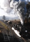 051 047-9 (50 1047) hat mit ihrem Nahgüterzug an der Brücke Bernecker Straße kurz vor Marktschorgast die Schiefe Ebene fast überwunden. Am Zugschluß hilft 260 112 mit. (17.10.1972) <i>Foto: Peter Schiffer</i>