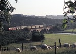 215 111 passiert eine friedlich in der Abendsonne grasende Schafherde bei Blankenberg an der Sieg. (26.06.1975) <i>Foto: Peter Schiffer</i>