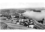 Panoramaaufnahme auf Rüdesheim (vorne der Bahnhof) mit der Hindenburgbrücke nach Bingen.Die Brücke überquerte den an dieser Stelle etwa 900 Meter breiten Rhein auf einer Gesamtlänge von 1175 Metern und bestand im Vorland aus Gewölbereihenbrücken sowie im Strombereich aus einer 741 Meter langen Stahlbrücke. Diese setzte sich aus zwei Bogenbrückenkonstruktionen und fünf Parallelfachwerkträgern mit jeweils untenliegender Fahrbahn zusammen. Die Bogenträger mit Zugband wiesen mit je 169,4 Metern eine für die damalige Zeit ungewöhnlich hohe Stützweite auf, die Fachwerkträger hatten Spannweiten von einmal 94,2 Meter und viermal 77,0 Meter.Die zweigleisige Brücke wies eine Gesamtbreite von 12 Metern auf, davon 7 Meter für die Gleisanlagen. An beiden Seiten befand sich ein Fußweg. (1928) <i>Foto: RVM</i>