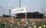 Zu Bundesbahnzeiten glänzten gerade viele kleinere Bahnhöfe durch üppigen Blumenschmuck, der hier als Farbtupfer für die Lz durch den Bahnhof Kalscheuren verkehrende Gremberger 050 220-3 dient. (12.09.1974) <i>Foto: Peter Schiffer</i>
