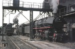 Hochbetrieb an der Bekohlungsanlage im Bw Gremberg: 044 592-4 (vorne), mit 044 596 (dahinter) und 050 259 (links). (05.06.1975) <i>Foto: Peter Schiffer</i>