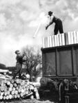 Holzverladung auf einem unbekannten Bahnhof. (1934) <i>Foto: RVM</i>
