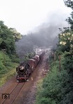 050 190-8 verlässt mit Ng 64152 den Bahnhof Siegburg. (11.06.1975) <i>Foto: Peter Schiffer</i>