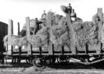 Daten leider unbekannt. (1942) <i>Foto: RVM / Korte</i>