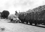 Heuverladung auf einem Bahnhof der RBD Halle. (1942) <i>Foto: RVM</i>
