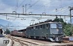 SBB Ae 6/6 11431 gehört zu einer Serie von 120 Universallokomotiven der Schweizerischen Bundesbahnen (SBB), die aufgrund ihres früheren Einsatzgebietes den Gotthardlokomotiven zugeordnet werden. Hier verlässt sie mit einem Güterzug den Bahnhof Bad Ragaz. (29.07.1985) <i>Foto: Peter Schiffer</i>