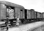 Zuchtpferdeverladung im Bahnhof Deutsch Eylau (heute poln. Iława) an der Strecke Thorn - Osterode/Ostpr. – Allenstein. (1932) <i>Foto: RVM</i>