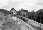 Lok 11 (spätere 99 5901) der Nordhausen-Wernigeroder Eisenbahn-Gesellschaft (NWE) auf dem Weg zum Brocken. (1922) <i>Foto: RVM</i>