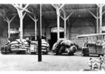 Präsentation des neuen Flurförderfahrzeugs der Fa. Siemens&Halske "N.P.H. 2001, System Köln" in der Güterhalle Köln-Kalk Nord. (1934) <i>Foto: RVM</i>