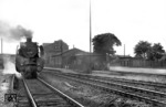 Die Osnabrücker 03 296 während eines Aufenthalts im Bahnhof Bassum an der Strecke Diepholz - Twistringen - Bremen.  (14.08.1952) <i>Foto: Quebe</i>