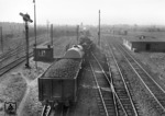 Der Rangierbahnhof in Hamm war einer der größten Anlagen der DB. Heute wächst hier das Unkraut..... (1955) <i>Foto: Willi Marotz</i>