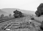 01 111 vor D 152 (Köln - Saarbrücken) bei Densborn in der Eifel. (04.1966) <i>Foto: Peter Deicke</i>