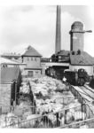 Eine neue Lieferung Schweine für den Schlachthof Bölts in Oldenburg. (1932) <i>Foto: RVM</i>